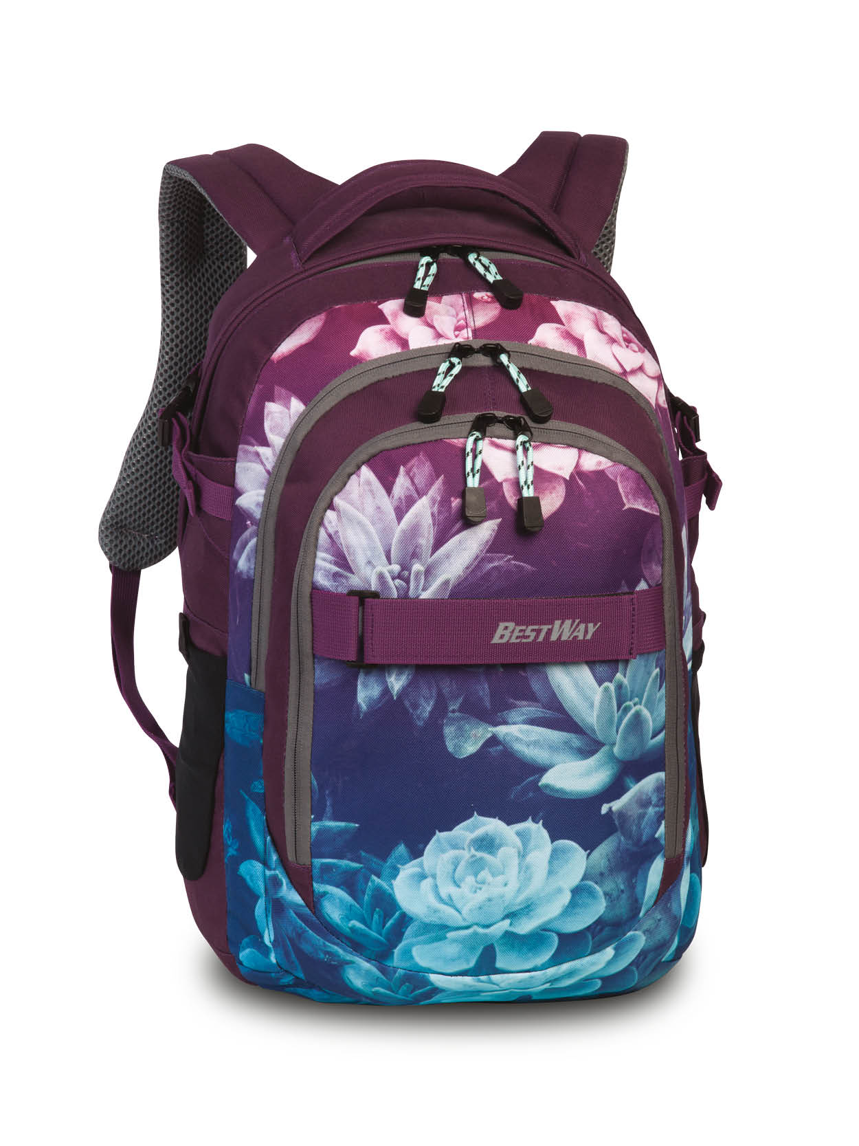 Sieber-Koll-Bestway-School-